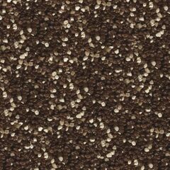 CT 77 (14) Мозаичная штукатурка (1,4-2,0мм) цвет CHILE 2